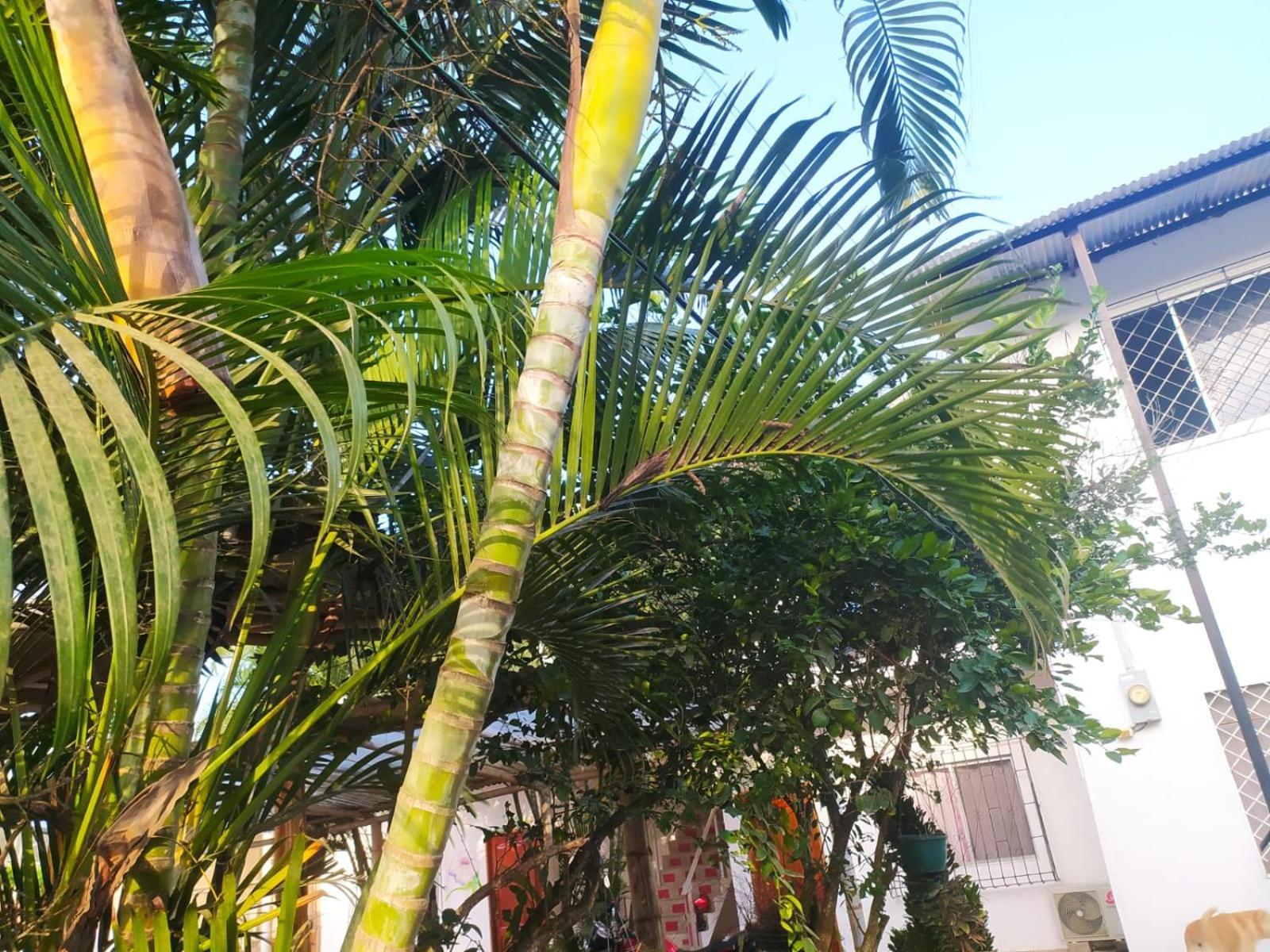 Hosteria Del Puerto Puerto Lopez Exterior photo